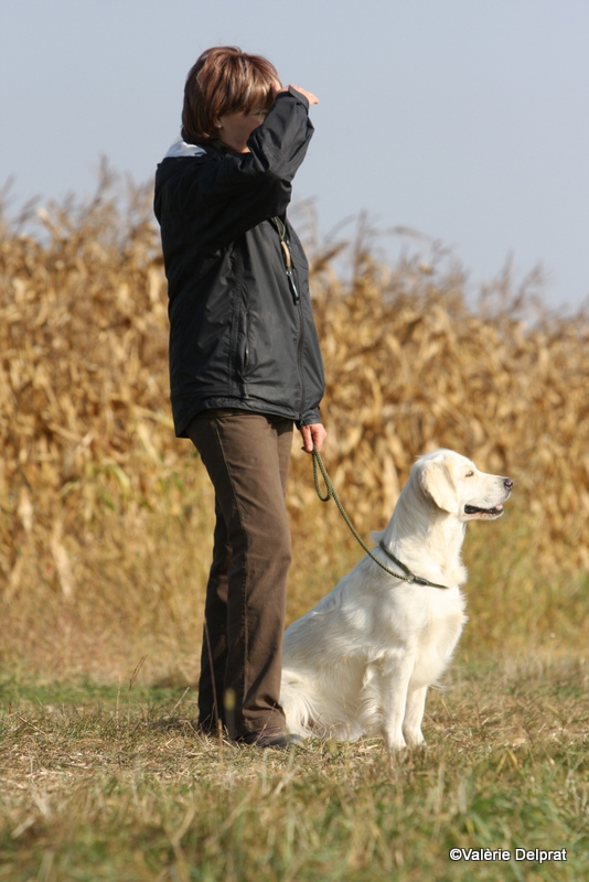 Field Erstein 09 (4).JPG